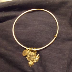 Alex and Ani Braclet